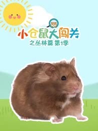 午夜影视污污污